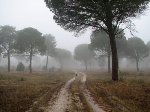 CAPEANDO EL TEMPORAL DE UNA 